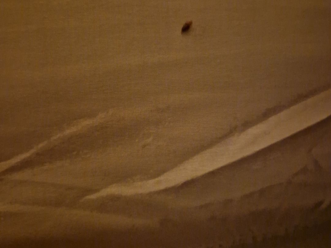 Hospedaxe Carragal主图