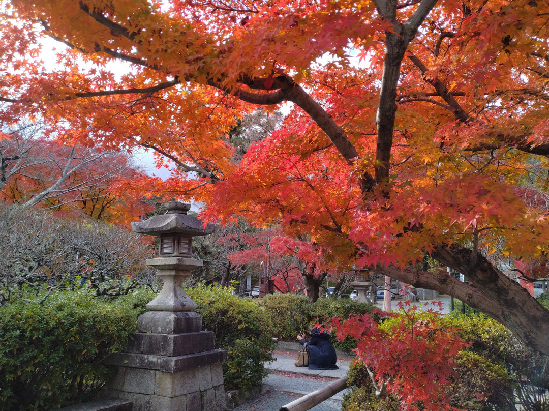 Nagaoka Tenmangu-长冈京市必去景点