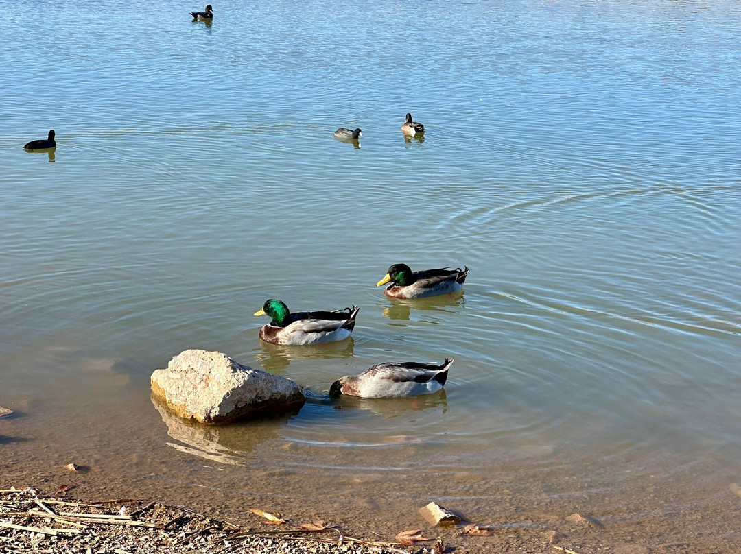 Voiers Park-Deming必去景点