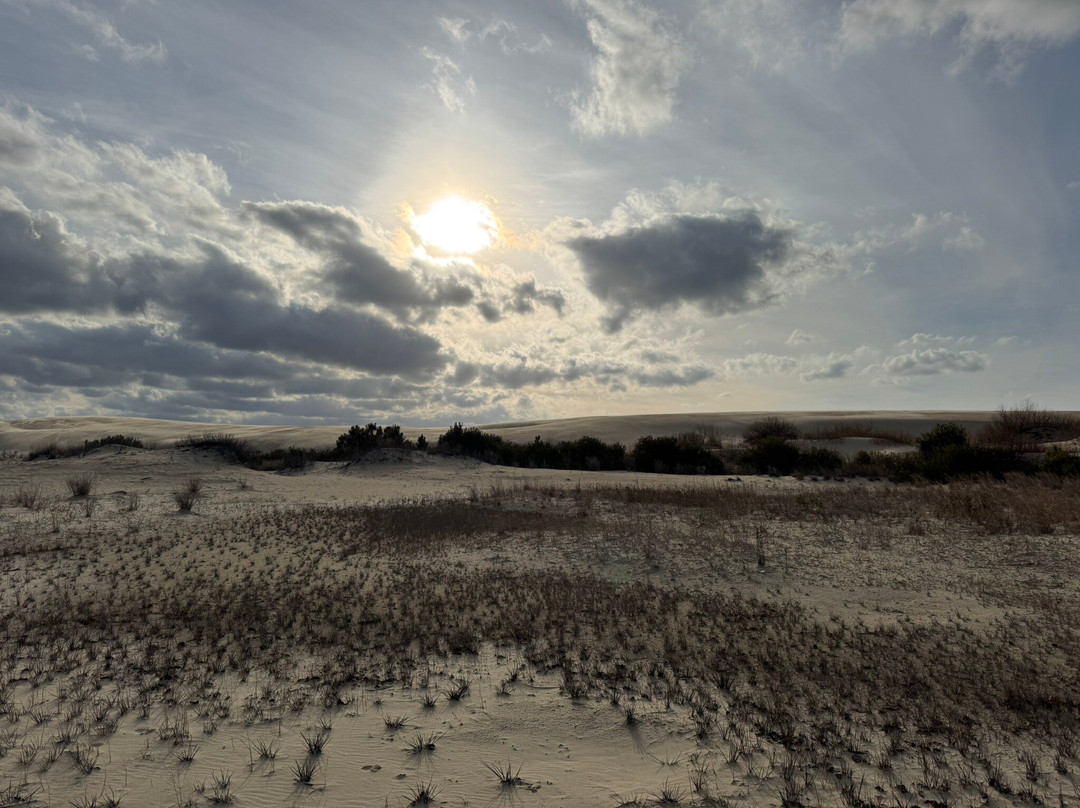 Jockey's Ridge State Park景点图片