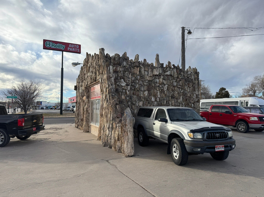 Petrified Wood Gas Station-Lamar必去景点