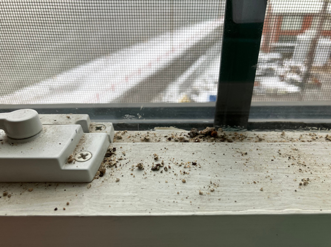 Lafayette Hotel主图