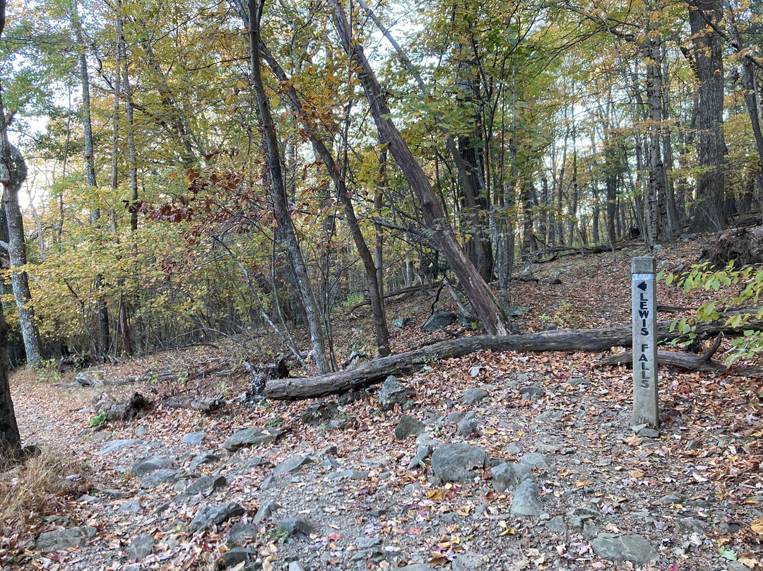 Lewis Falls Trail-雪兰多国家公园必去景点
