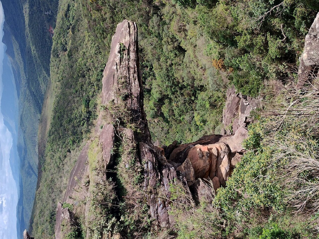 Parque Natural Municipal das Andorinhas-欧鲁普雷图必去景点