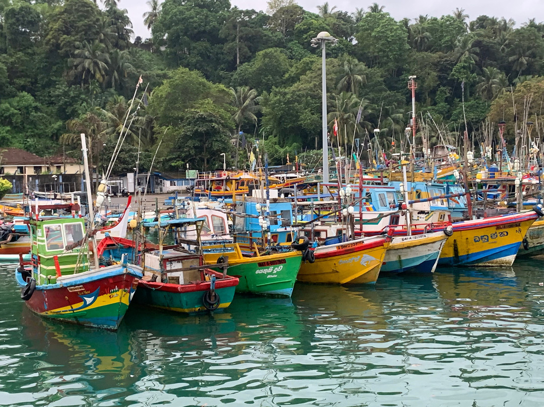 Araliya Lanka Tours景点图片