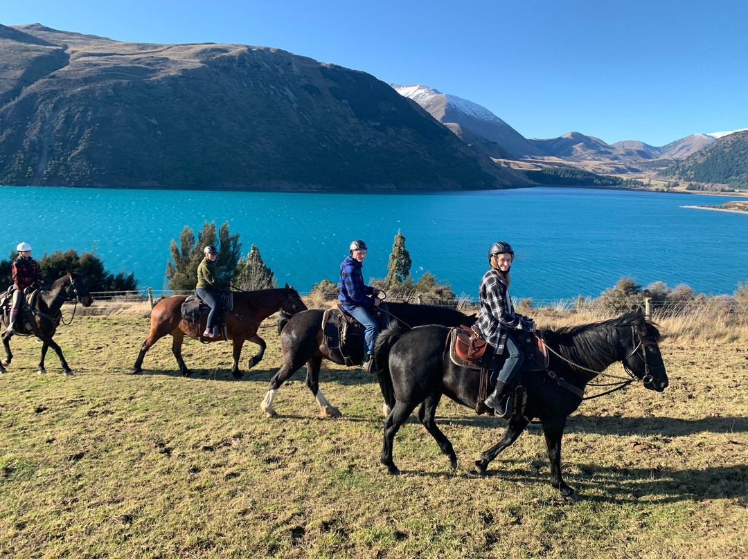High Country Horse Adventures Lake Coleridge-基督城必去景点