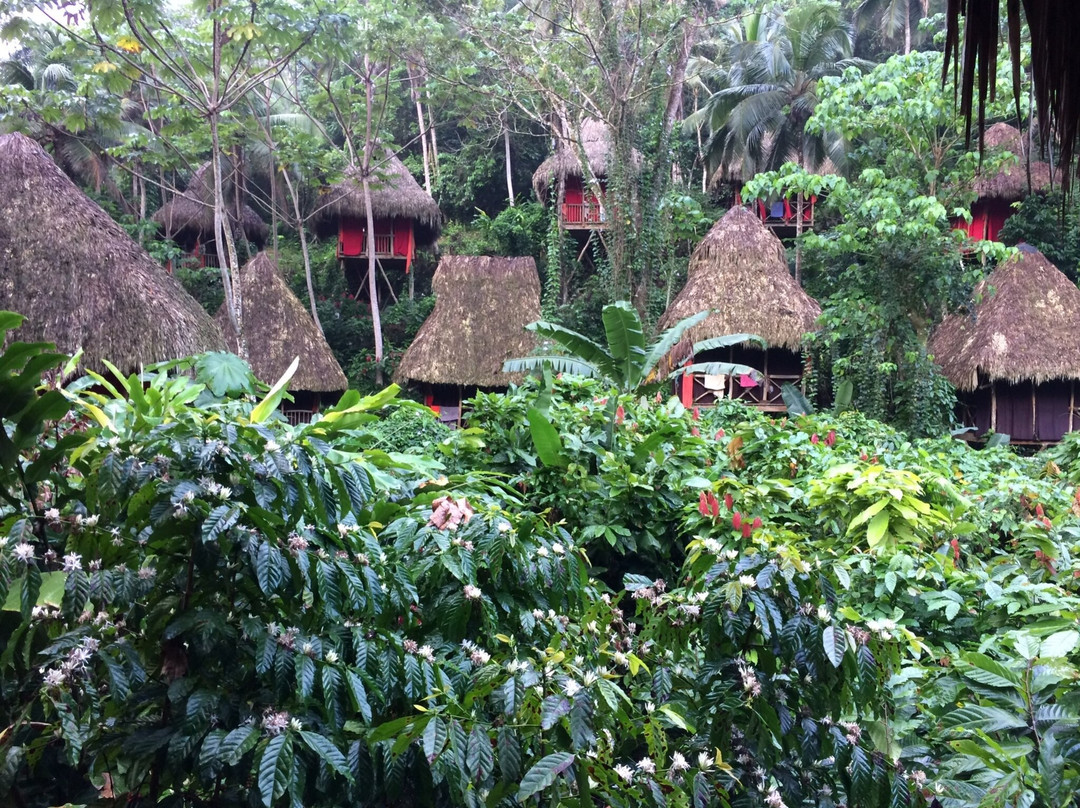 Dominican Tree House Village