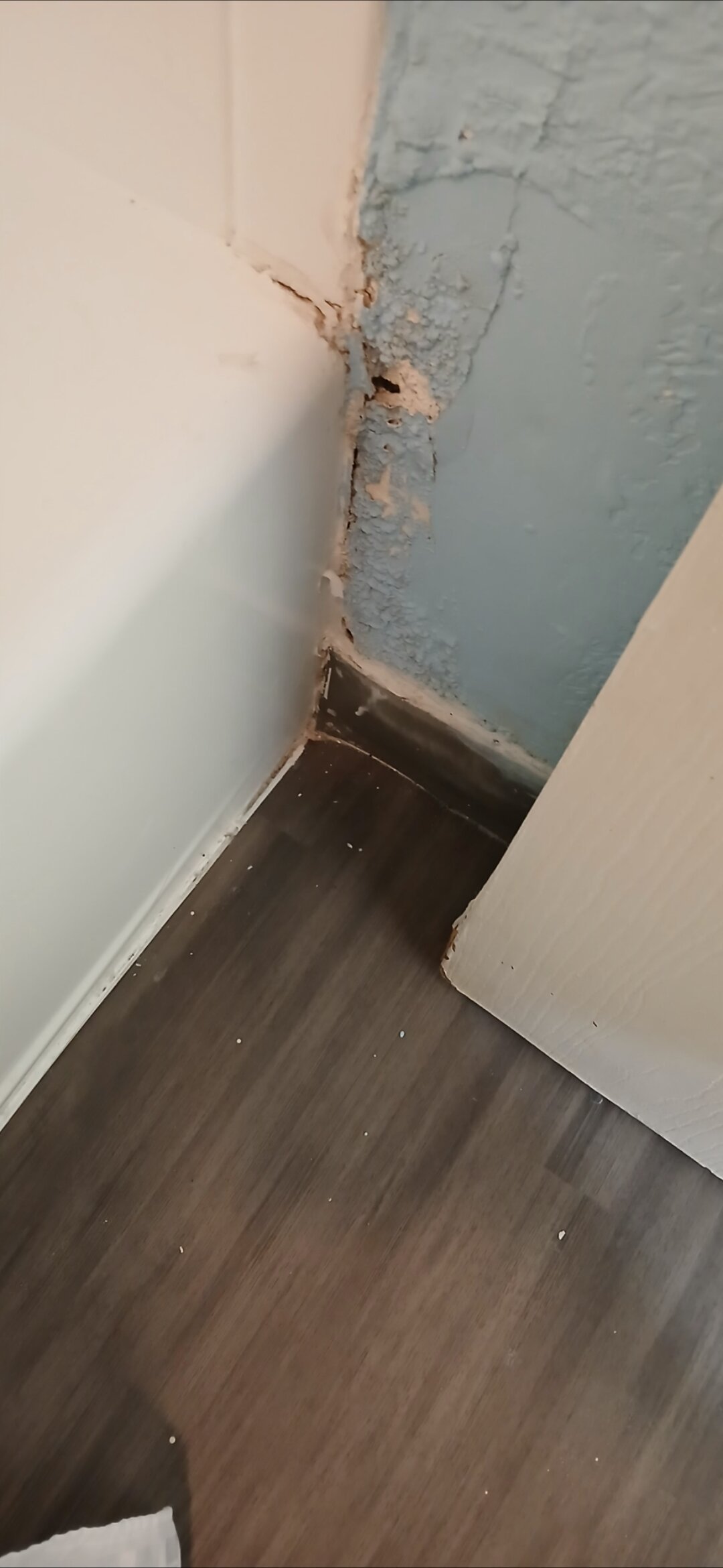 Sonesta Simply Suites Cleveland Airport-浴室