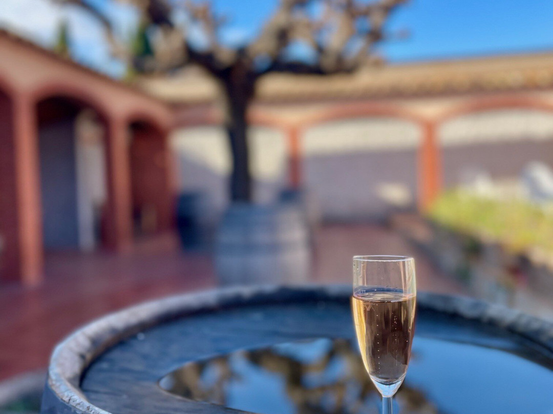 Caves Romagosa Torné-Sant Marti Sarroca必去景点