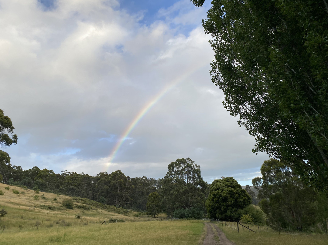 哈姆雷特丘陵地区住宿主图