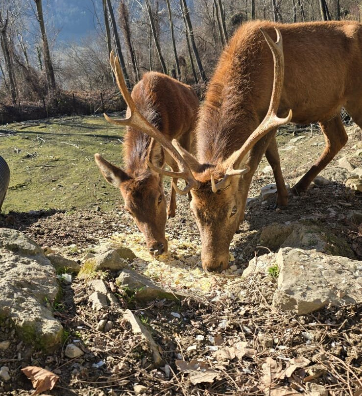 Parco Safari delle Langhe-Murazzano必去景点
