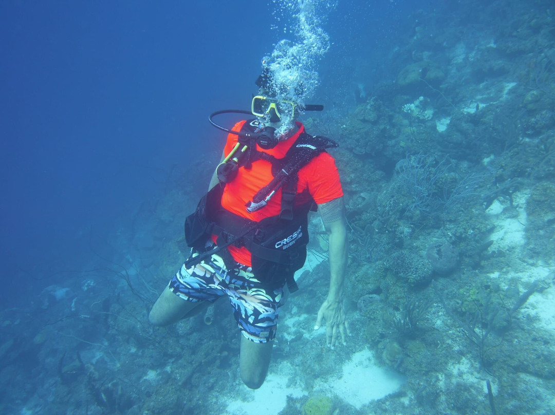 Dive Wederfoort-威廉斯塔德必去景点