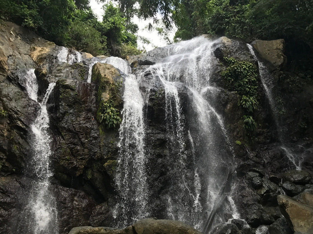 Tobago Forest Reserve-多巴哥必去景点