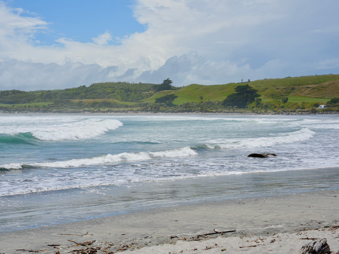 West Coast Surf景点图片