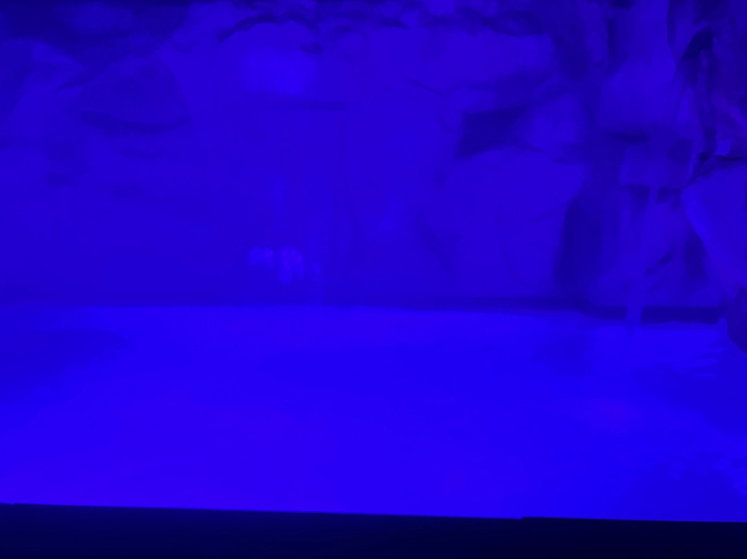 L'Isola del Benessere景点图片