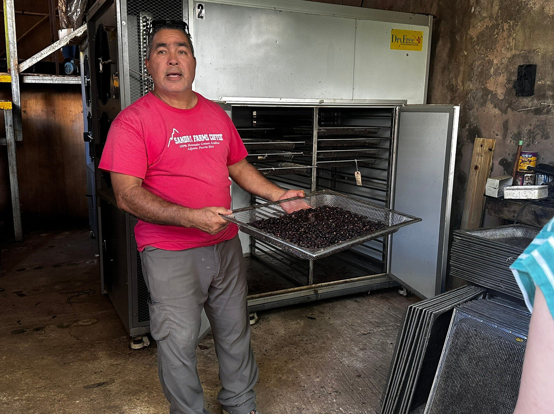 Sandra Farms Coffee-Adjuntas必去景点