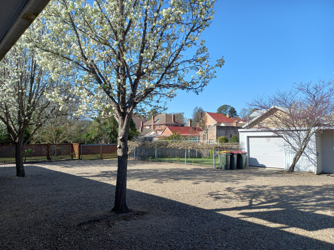 Cedar Lodge Motel主图