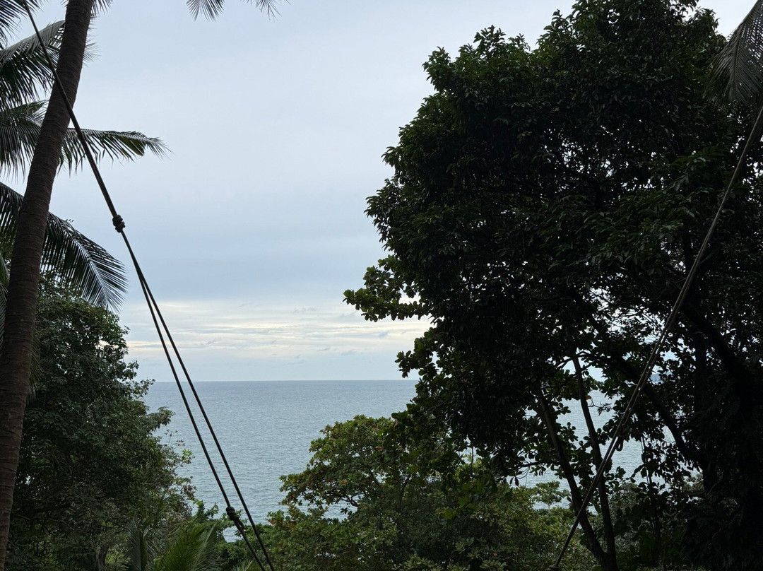 Rock Beach Swing-卡伦必去景点