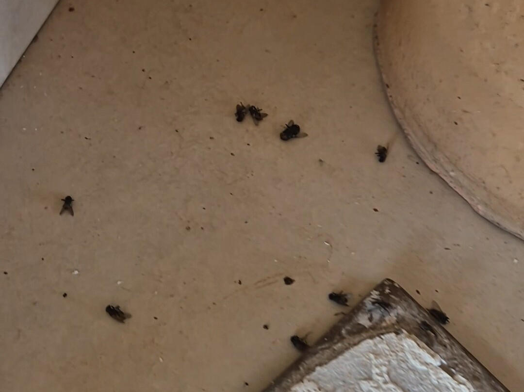 Hotel Arena Carneiros By AFT主图