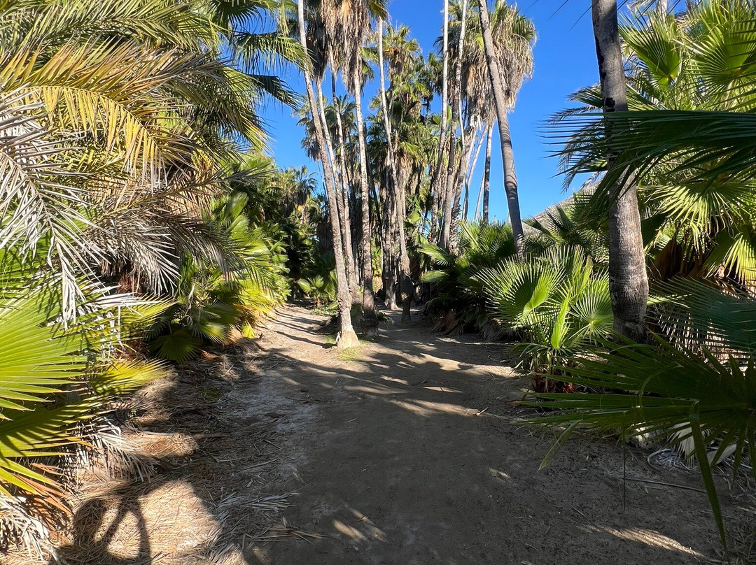 Palm Beach-托多斯桑托斯必去景点