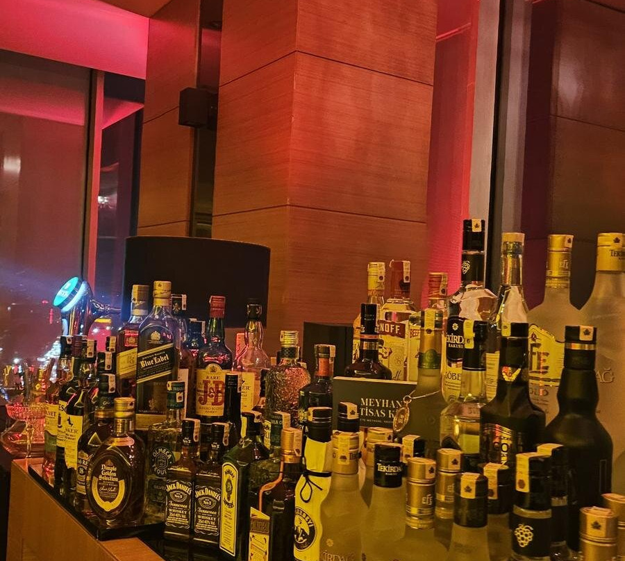 Anemon Samsun Hotel主图