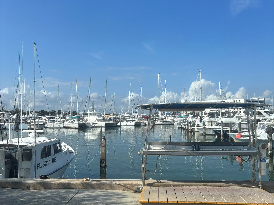Canaveral Kings Sport Fishing Charters景点图片