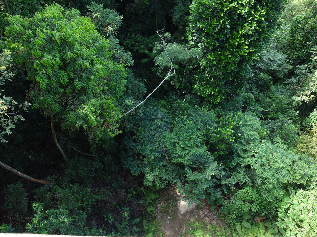 Rio 40 Graus Turismo-里约热内卢必去景点