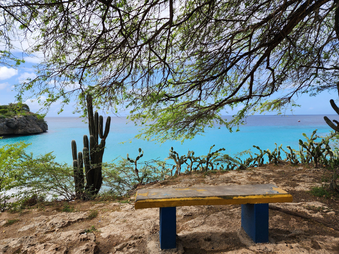 Playa Jeremi-威廉斯塔德必去景点