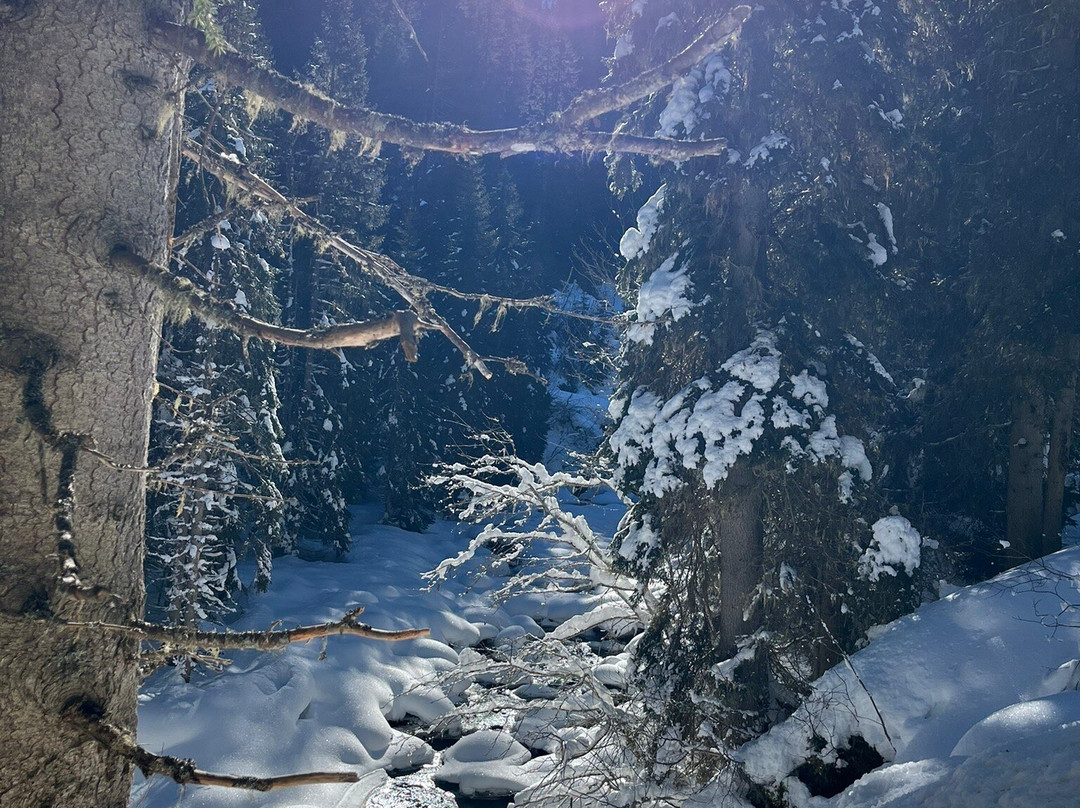 Verwallsee-圣安东阿尔山必去景点