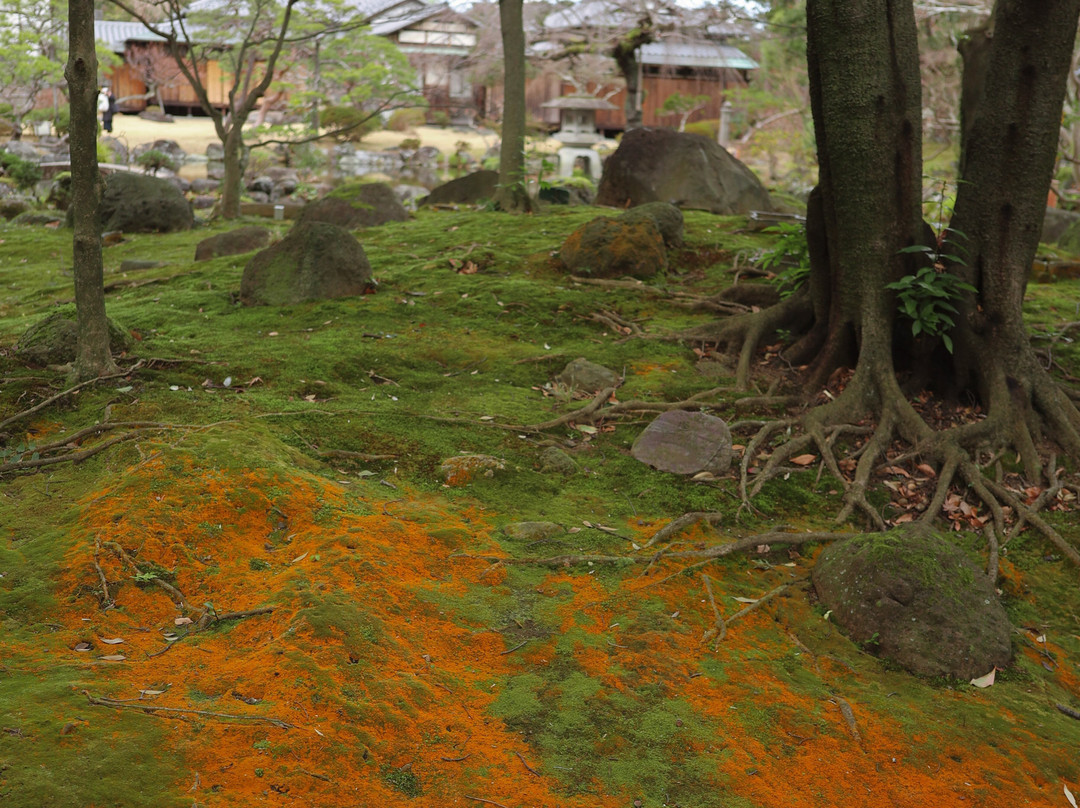 Sano Art Museum景点图片
