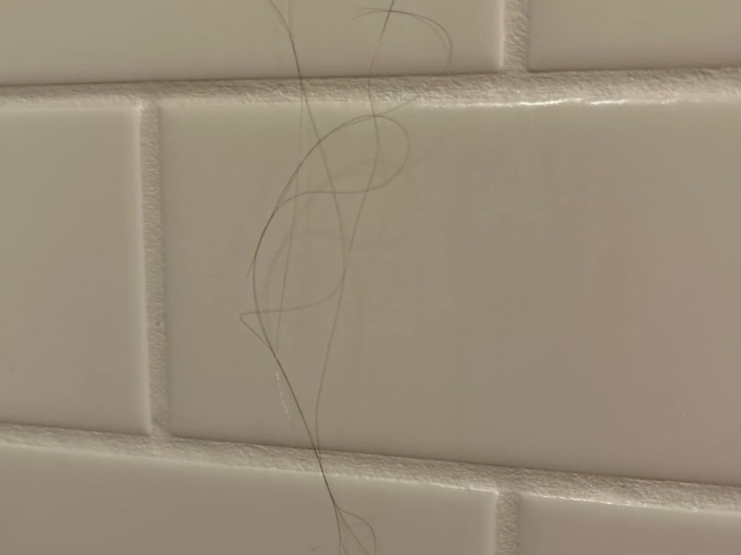 圣路易斯好莱坞 酒店主图
