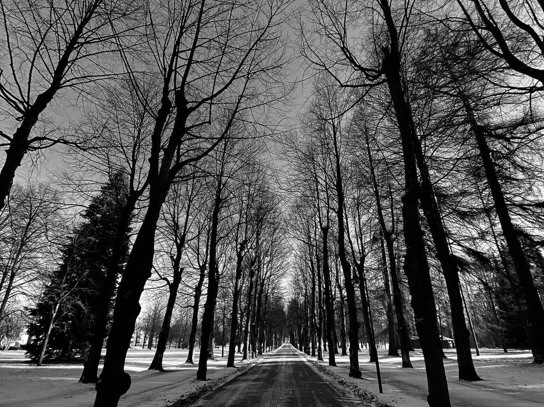 Boulognerskogen City Park-Gävle必去景点