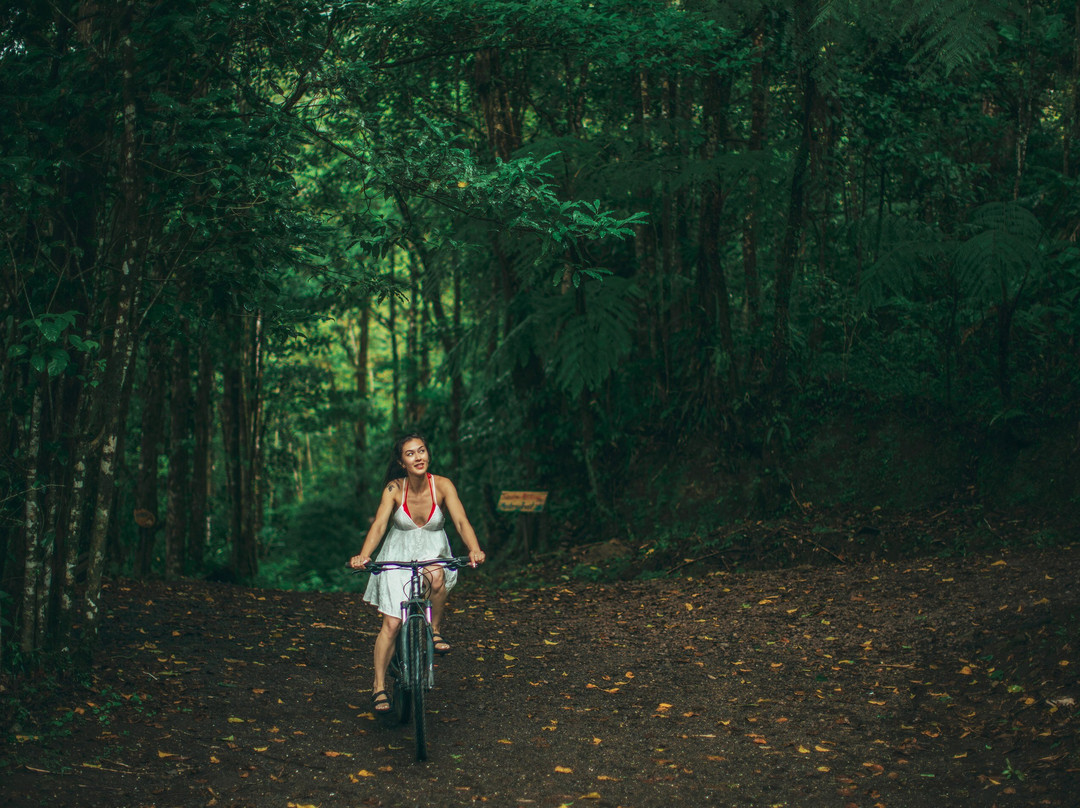 El Silencio Lodge & Spa主图