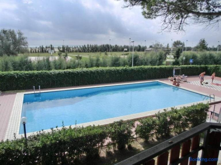 Sotto IL Pino