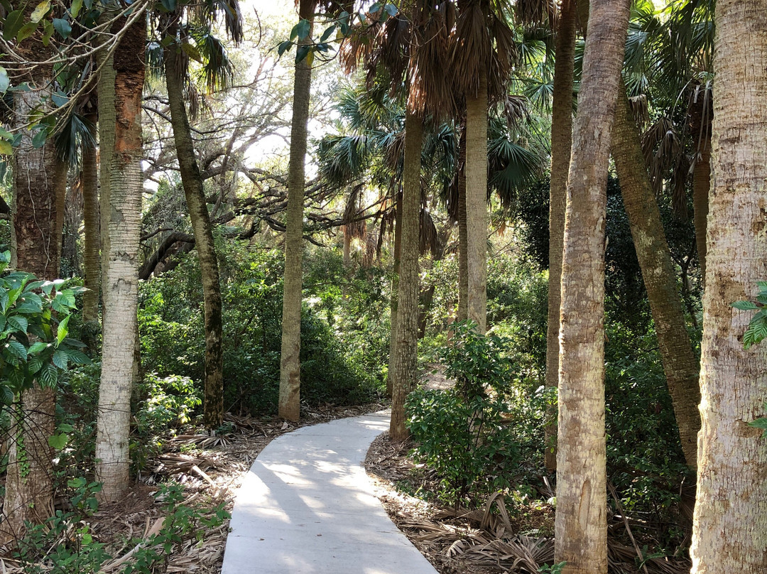 Frenchman's Forest Natural Area-棕榈滩花园必去景点