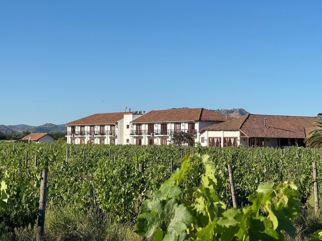 Hotel TerraVina主图