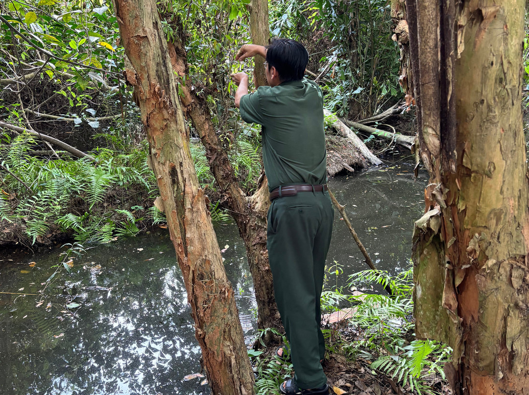 Xeo Quyt Relic Area-Cao Lanh必去景点