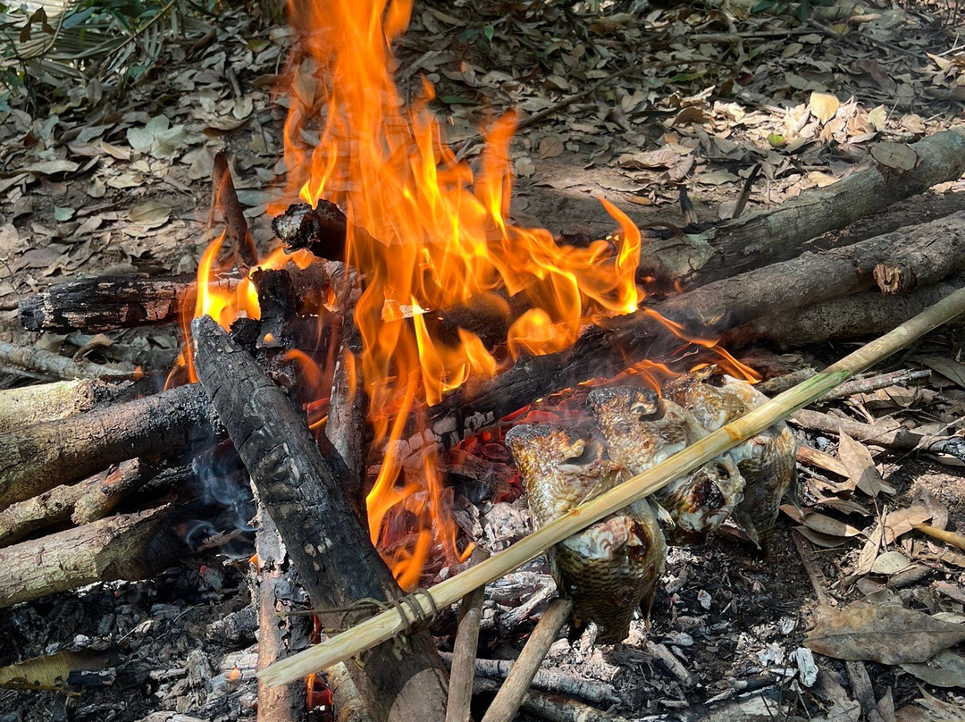 Into the Wild Laos-琅南塔必去景点