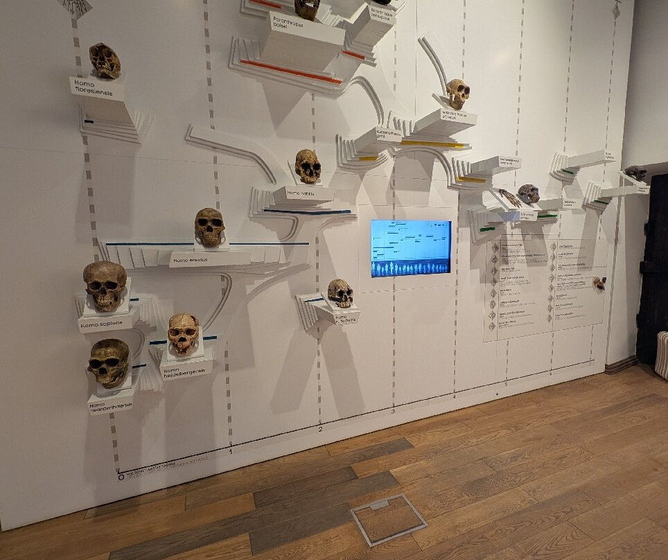 Estonian Health Museum-塔林必去景点