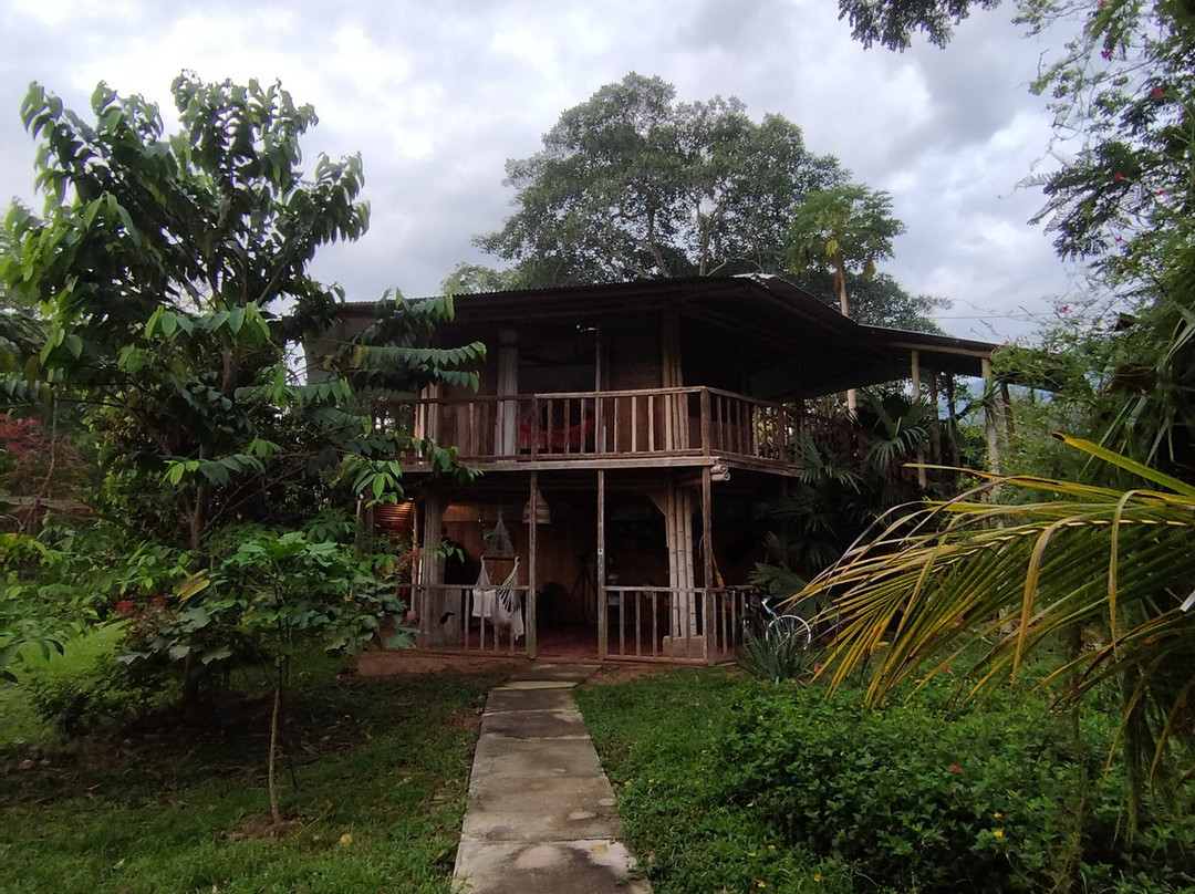 Palmarum Lodge