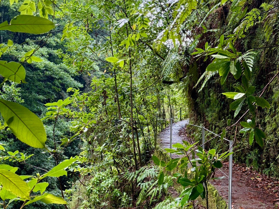 PR16 Levada Fajã do Rodrigues-Sao Vicente必去景点