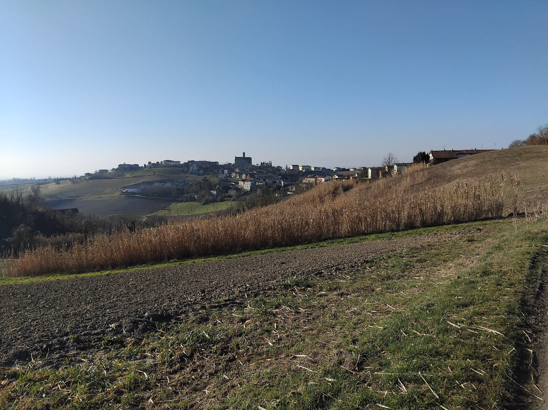 Strada Panoramica Tra Cuccaro Monferrato e Lu景点图片