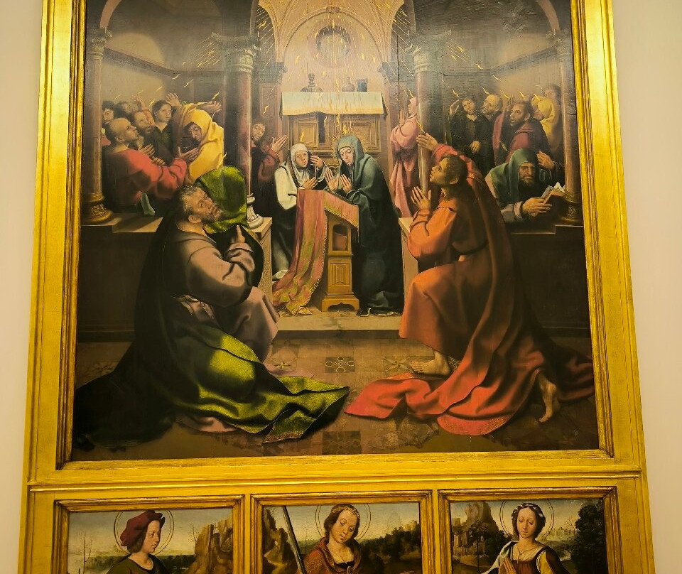 Museu Grão Vasco景点图片
