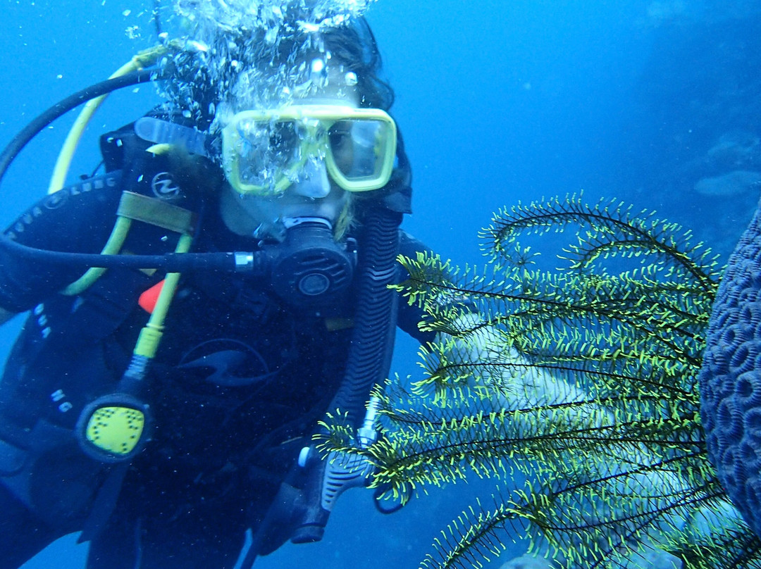 Green Dive-塔拉瓦环礁必去景点