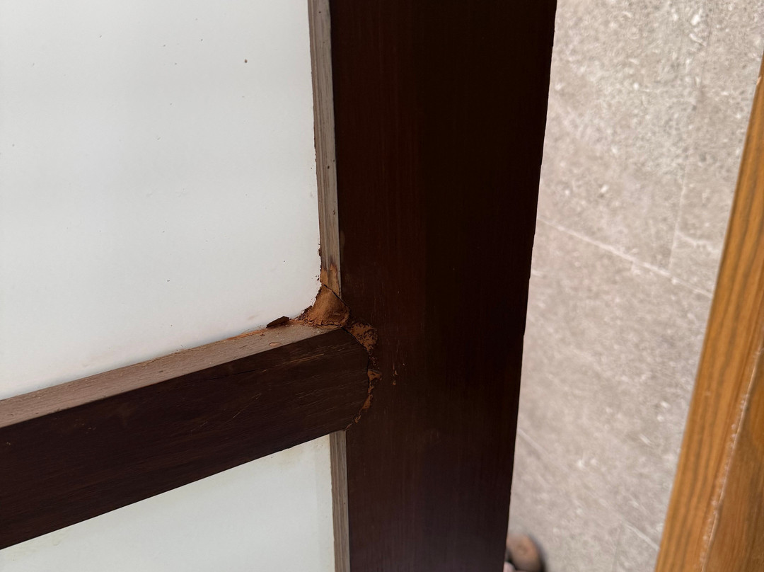 萨罗晋酒店主图