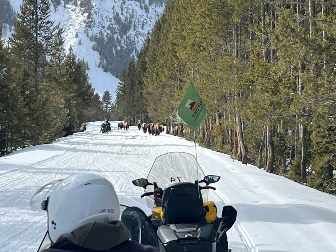 Two Top Snowmobile Rentals and Tours-西黄石镇必去景点