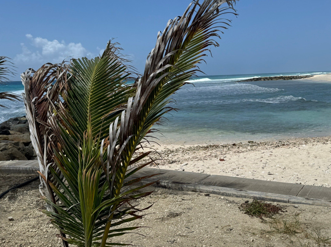 Hastings Beach-Hastings必去景点