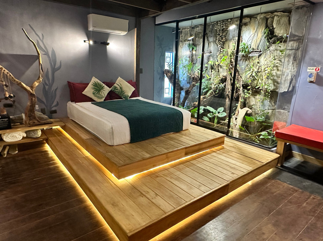 Rockinnest Boutique Hotel