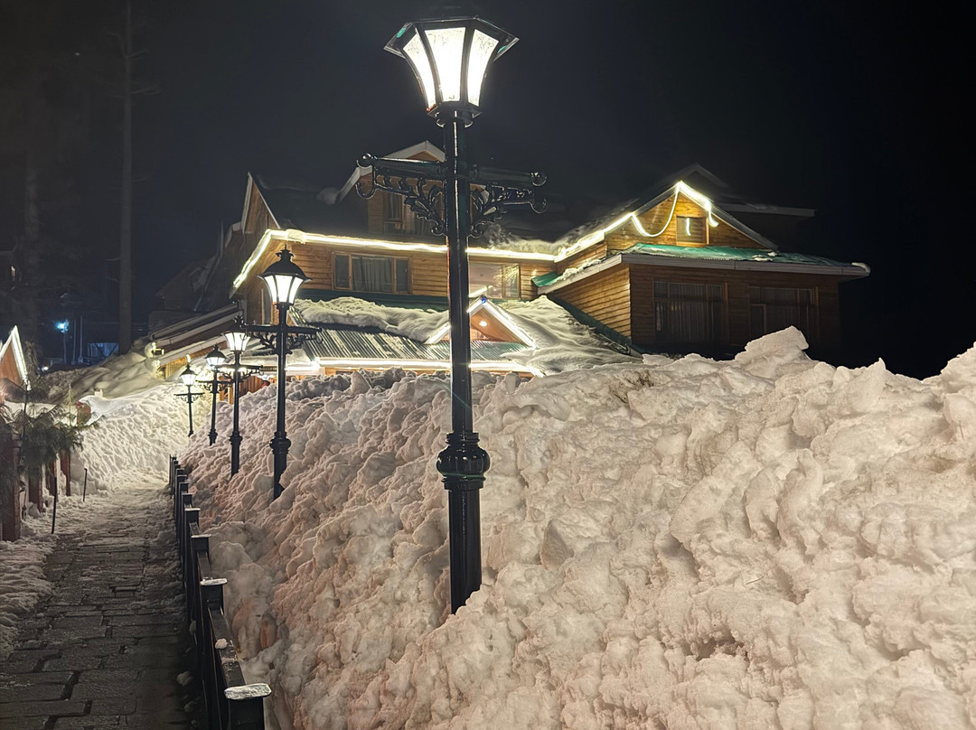 Kashmir Travels-斯利那加必去景点