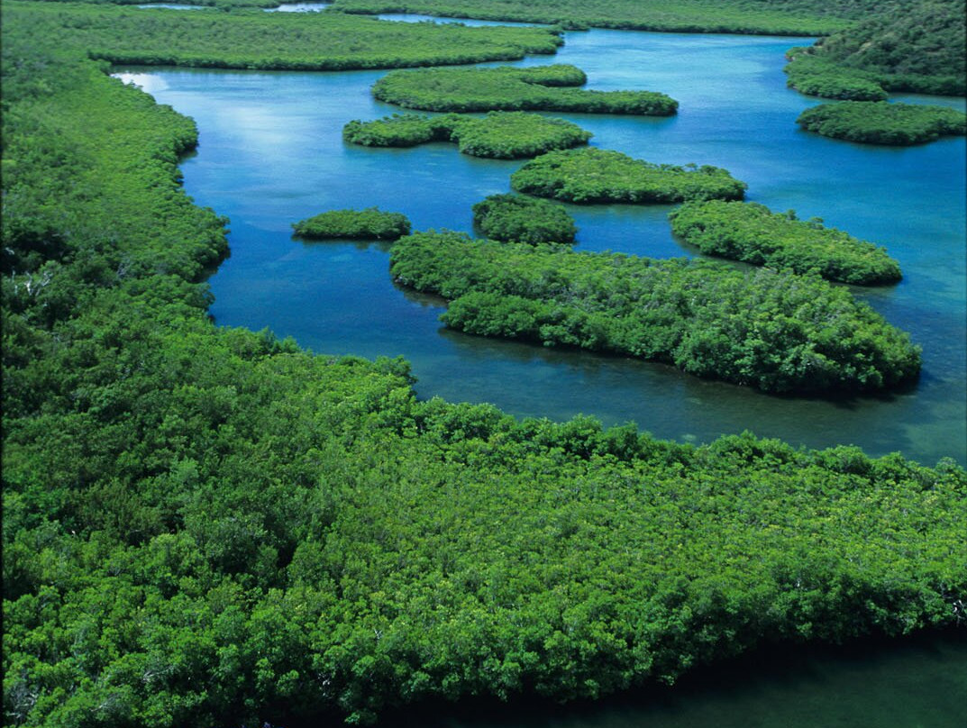 Virgin Islands Ecotours-夏洛特阿马利亚必去景点
